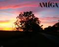 Amiga Sunset