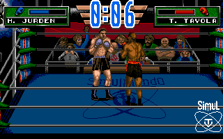 3D World Boxing ekran z gry