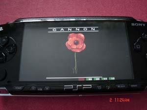 PSP UAE