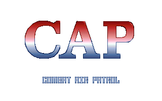 Combat Air Patrol