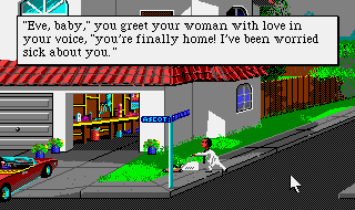 Leisure Suit Larry goes Looking for Love (In Several Wrong Places)