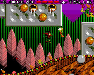 Zool 2