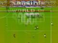 Sensible World of Soccer