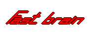 Fast Brain